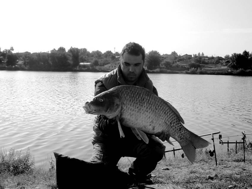 CONCURS LIKE-URI  - VOT PE FACEBOOK  - John Mardare